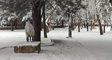 Karaman'da etkili kar yağışı