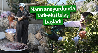 Karaman'da devedişi nar hasadı ile birlikte nar ekşisi telaşı başladı