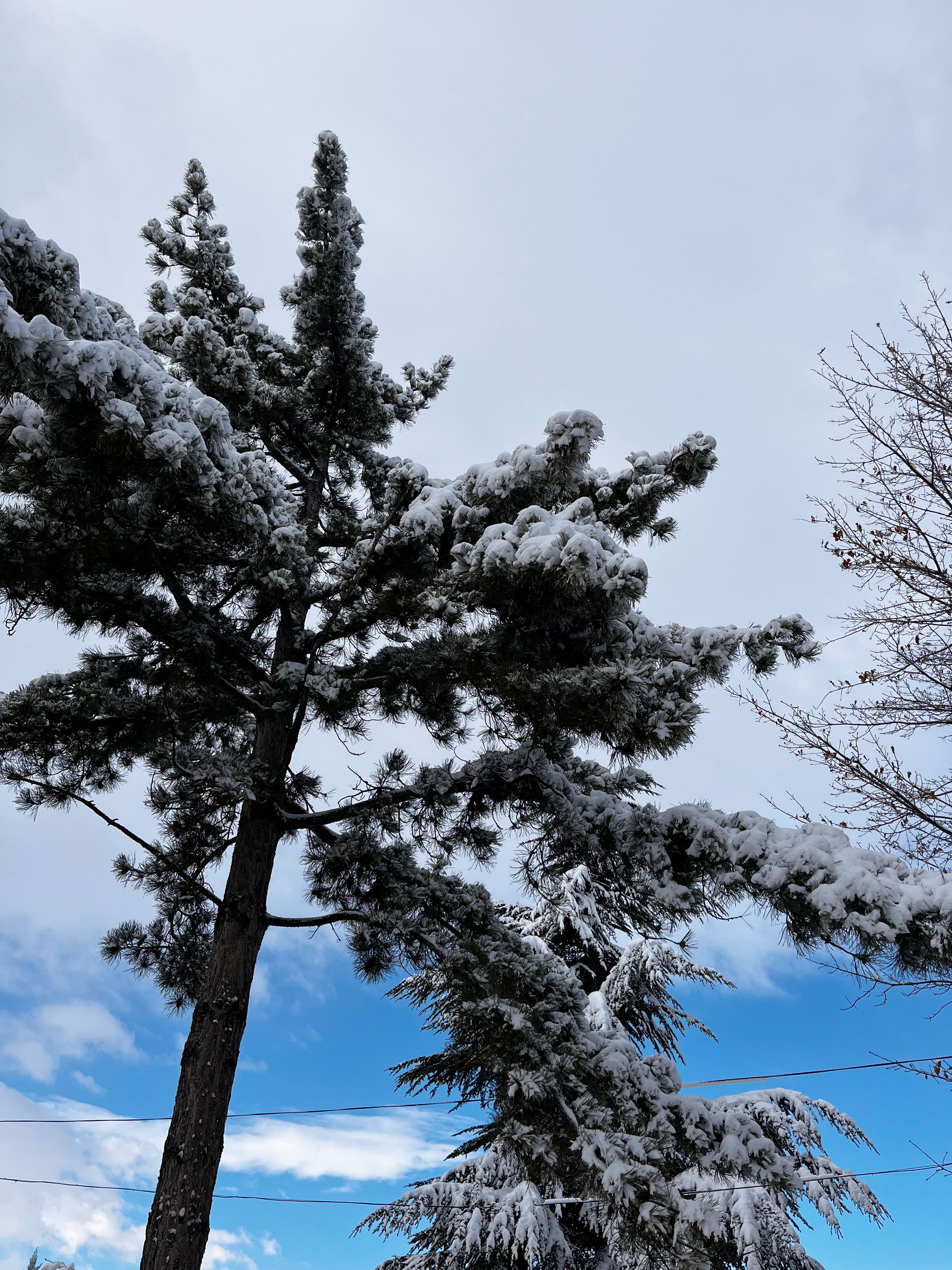 Karaman'da mevsimin ilk kar yağışından manzaralar