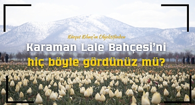 Karaman Lale Bahçesi'ni hiç böyle gördünüz mü?