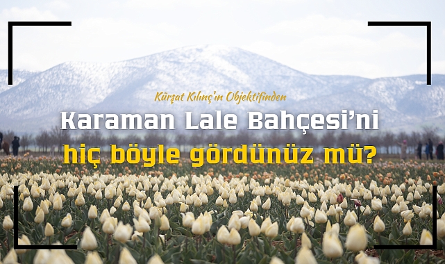 Karaman Lale Bahçesi'ni hiç böyle gördünüz mü?