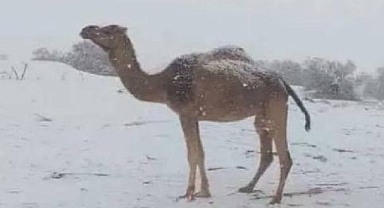Dünyada garip şeyler oluyor! Çöle kar yağdı