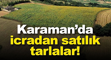 Karaman'da icradan satılık tarlalar
