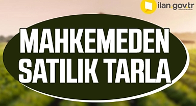 Karaman'da mahkemeden satılık 30 bin 452 metrekare tarla