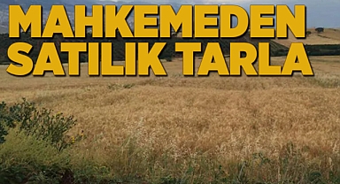 Karaman'da mahkemeden satılık 4 adet tarla
