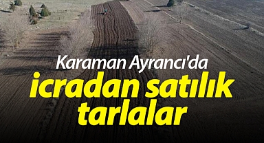 Karaman Ayrancı'da icradan satılık tarlalar