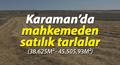 Karaman'da mahkemeden satılık 2 adet tarla
