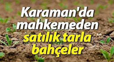 Karaman'da mahkemeden satılık tarla ve bahçeler