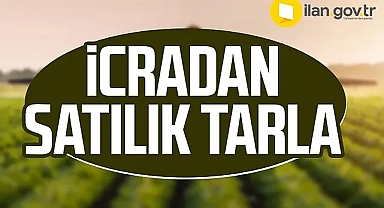 Karaman Ermenek'te icradan satılık tarla