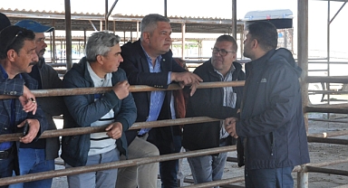 Milletvekili adayı Atilla Zorlu hal ve hayvan pazarını ziyaret etti