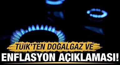 TÜİK'ten 'Enflasyon' ve doğalgaz açıklaması: Sert düşüş olacak