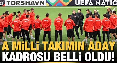 A Milli Takım'ın aday kadrosu belli oldu!