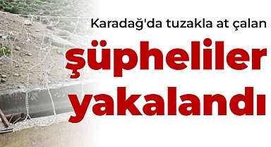 Karadağ'da tuzakla at çalan şüpheliler yakalandı