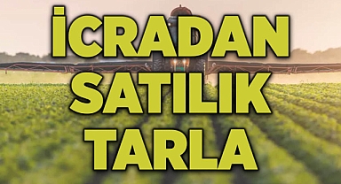 Karaman'da icradan satılık 11 bin 744 metrekare tarla