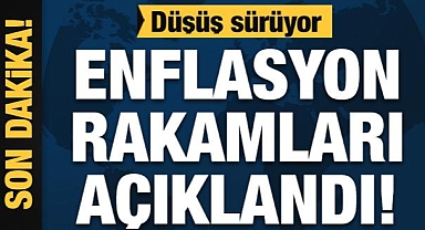 Mayıs ayı enflasyon rakamları açıklandı