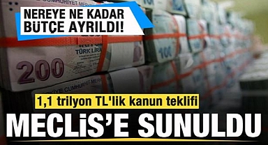 1,1 trilyon TL'lik Ek Bütçe!