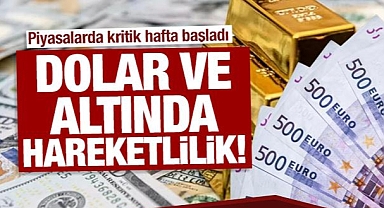 Altın ve dolar kritik haftaya yükselişle başladı