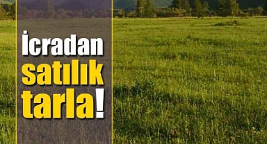 Çumra'da icradan satılık 32 bin 653 metrekare tarla