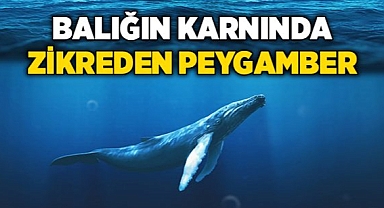 Yunus Peygamberin Denizdeki Duası: Rahmet ve Kurtuluş