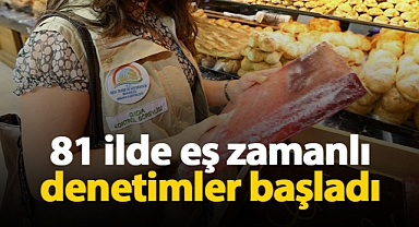 81 ilde et ve süt ürünlerine eş zamanlı denetim