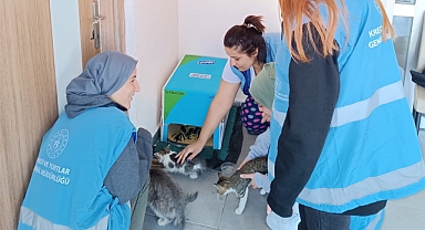 GSB Karaman Yurdu öğrencileri, kış öncesi sokak hayvanlarına barınak yaptı