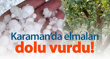 Karaman'da dolu yağışı tarım arazilerine zarar verdi