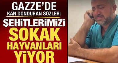 Gazze'de kan donduran sözler: Şehitlerimizi sokak hayvanları yiyor