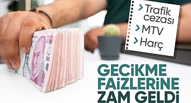 Kamu alacaklarında gecikme zammı oranı yükseltildi