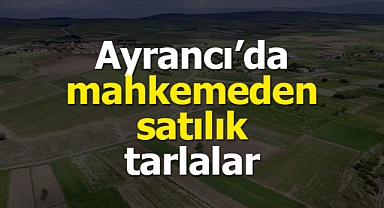 Karaman Ayrancı'da mahkemeden satılık tarlalar