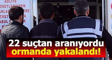 Karaman'da 22 ayrı suçtan 35 yıl cezayla aranan zanlı, ormanda yakalandı