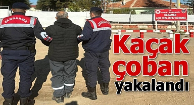 Karaman'da kaçak çobanı jandarma yakaladı