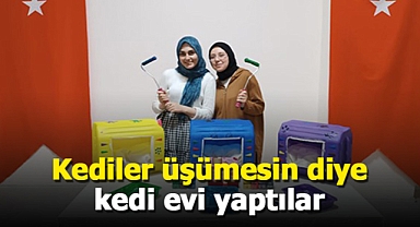 Karaman Mehmet Emin Paşa Yurdu öğrencileri, kış öncesi kedi evleri yaptılar
