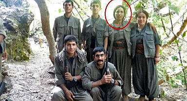 MİT, Jiyan Mardin'i etkisiz hale getirdi