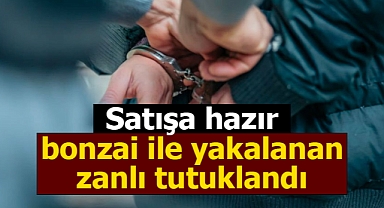 Karaman'da paket paket bonzai ile yakalanan zanlı tutuklandı