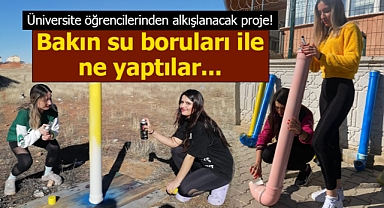 Karaman'da üniversite öğrencileri sokak hayvanları için su borusundan mama kabı yaptı