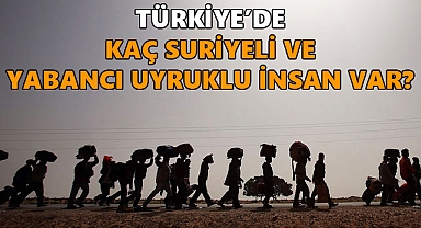 Göç İdaresi Başkanlığı'ndan Kritik Açıklama: Türkiye'de Kaç Suriyeli ve Yabancı Var?