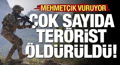 15 PKK'lı terörist etkisiz hale getirildi!