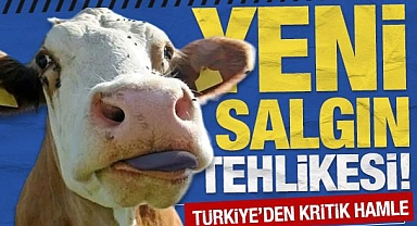 Büyükbaş hayvanlarda mavi dil hastalığı alarmı!