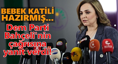 Dem Parti'den Bahçeli'nin çağrısına yanıt:
