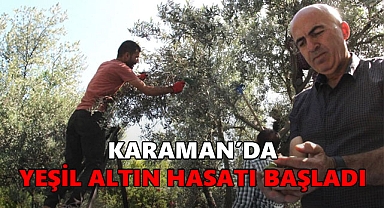 Karaman’da Hasatı Başladı : “Yeşil Altın” Artık Sofralarımızda