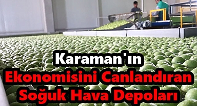 Karaman'ın Ekonomisini Canlandıran Soğuk Hava Depoları: Elma İhracatının Kalbi