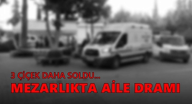 Mezarlıkta 3 Kadın Cinayeti: Aile Dramı