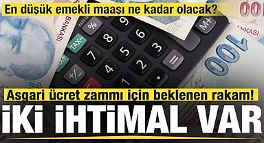Asgari Ücret Zammı ve Emekli Maaşı İçin 2 İhtimal: İşte Merak Edilen Rakamlar!