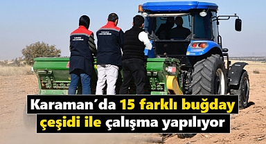 Karaman'da 15 farklı buğday çeşidinin denendiği çalışma yapıldı
