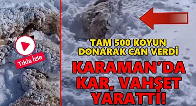 Karaman'da 500 koyun donarak can verdi! Görüntüler haberimizde...