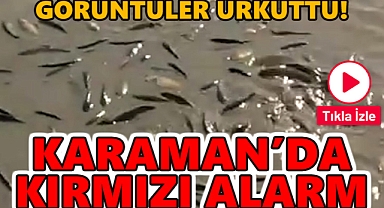 Karaman'da Kırmızı Alarm: Balıkların can çekiştiği anlar kamerada...
