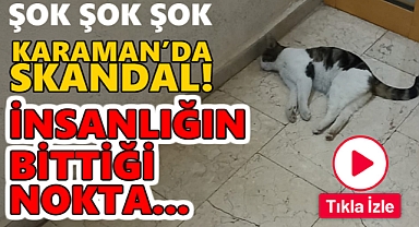 Karaman'da Şok Olay! CANİLER...