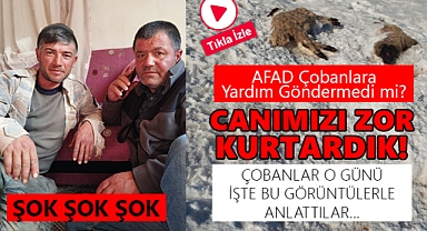 Tipiye yakalanan Çobanların İsyanı: Yardım Gelmedi!