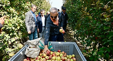 Türkiye'de En Fazla Elma Ağacı Karaman'da