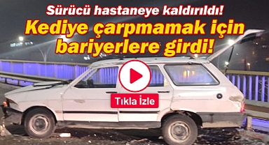 Karaman'da kediye çarpmamak isteyen sürücü bariyerlere girdi!